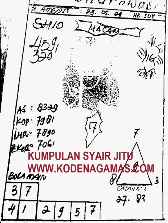 SYAIR SGP VIP